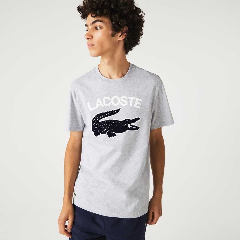 Grey Chine Lacoste Regular Fit XL Crocodile Print T-Shirt | SVWICZ-384