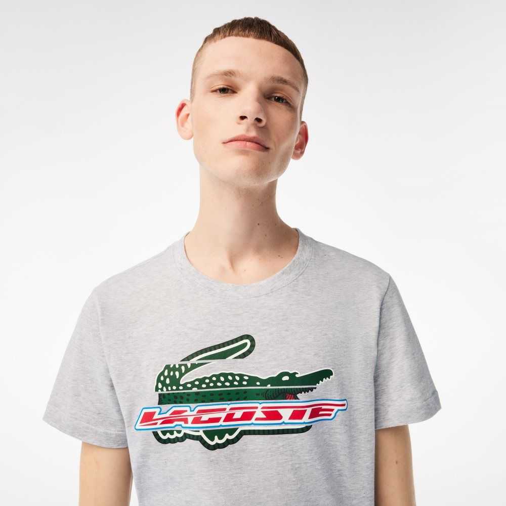 Grey Chine Lacoste SPORT Regular Fit Organic Cotton T-Shirt | GNBRFY-028