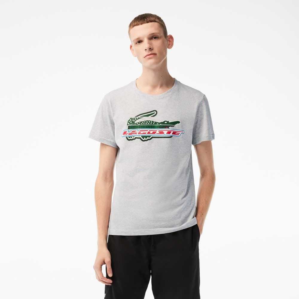 Grey Chine Lacoste SPORT Regular Fit Organic Cotton T-Shirt | GNBRFY-028