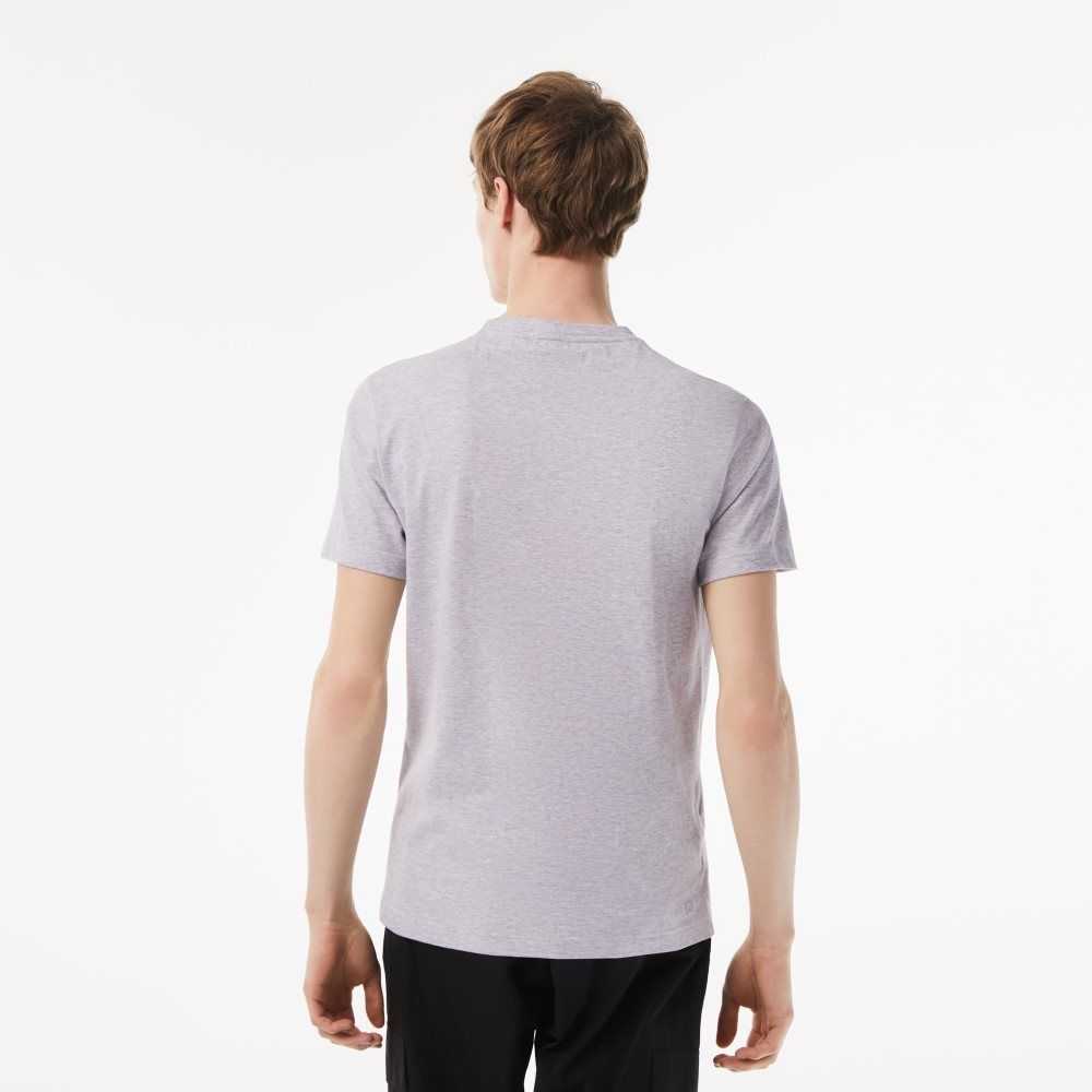 Grey Chine Lacoste SPORT Regular Fit T-Shirt with Contrast Branding | OHZGLE-298