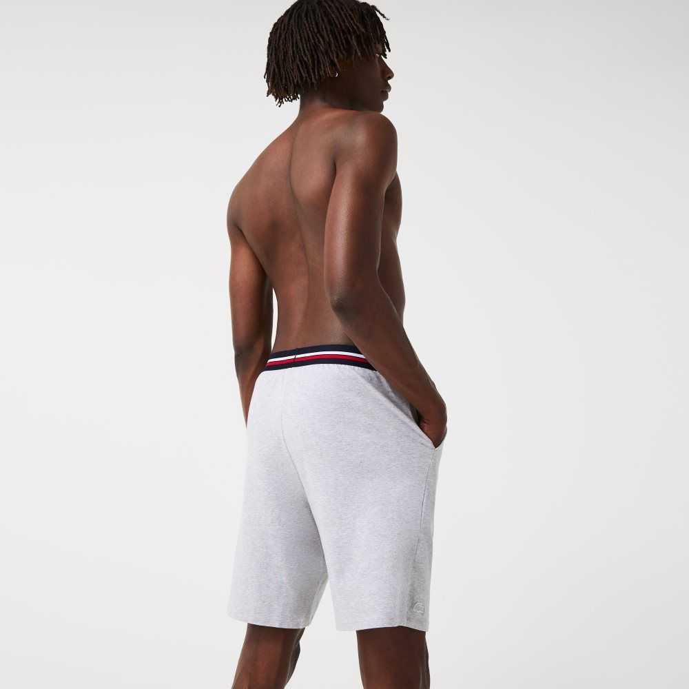 Grey Chine Lacoste Striped-Waist Long Boxer Briefs | PAYODF-721