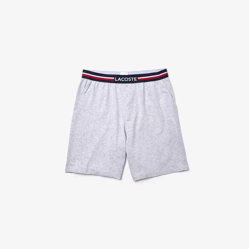 Grey Chine Lacoste Striped-Waist Long Boxer Briefs | PAYODF-721