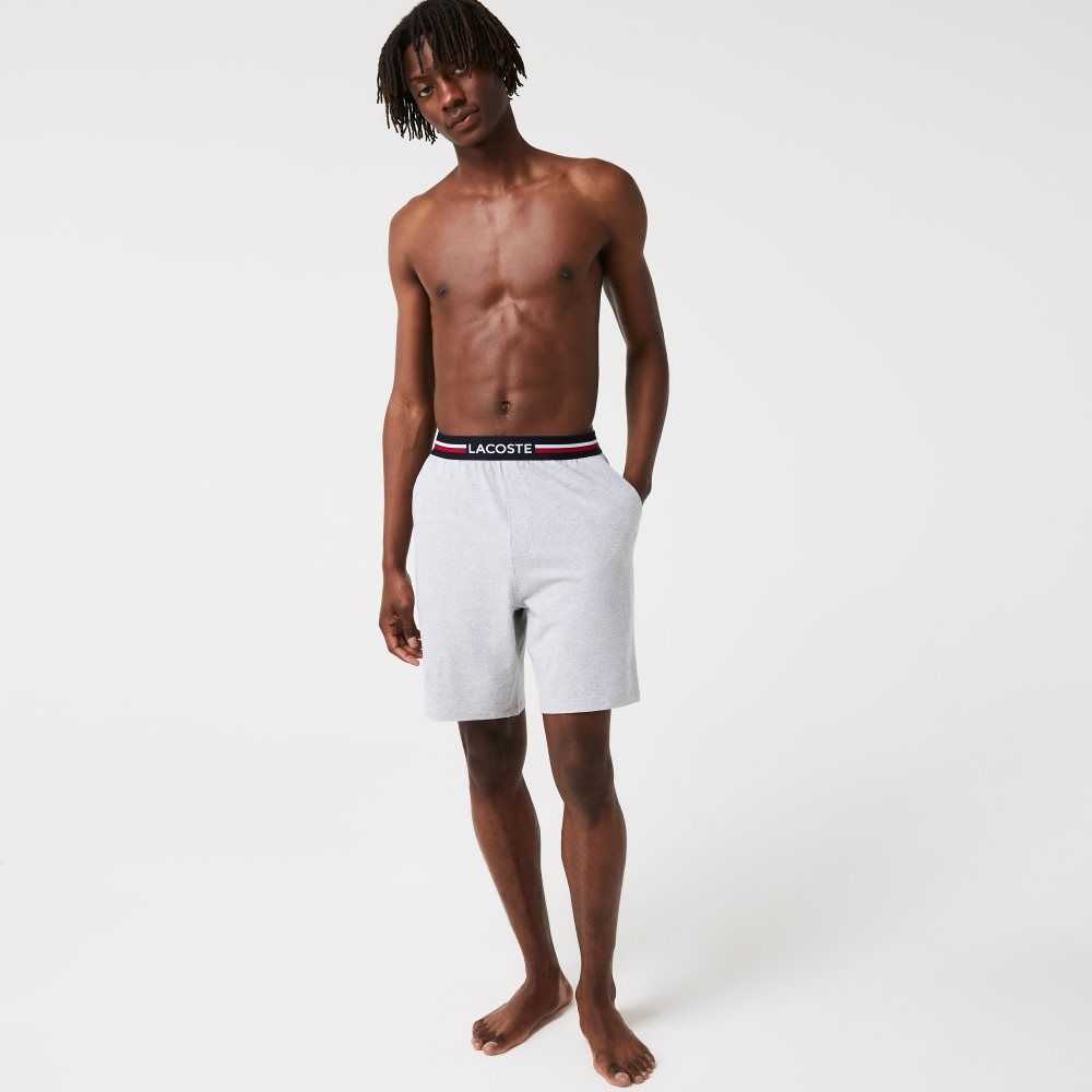 Grey Chine Lacoste Striped-Waist Long Boxer Briefs | PAYODF-721