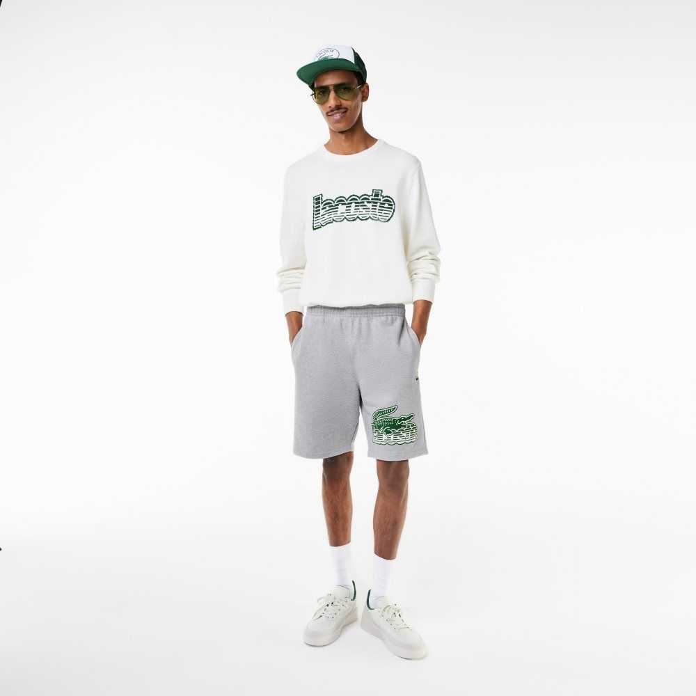 Grey Chine Lacoste Unbrushed Cotton Fleece Shorts | CAJNIE-975