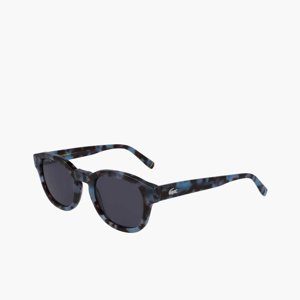 Havana/Bordeaux Lacoste Oval Bio Acetate National Geographic Sunglasses | PWVYKS-123