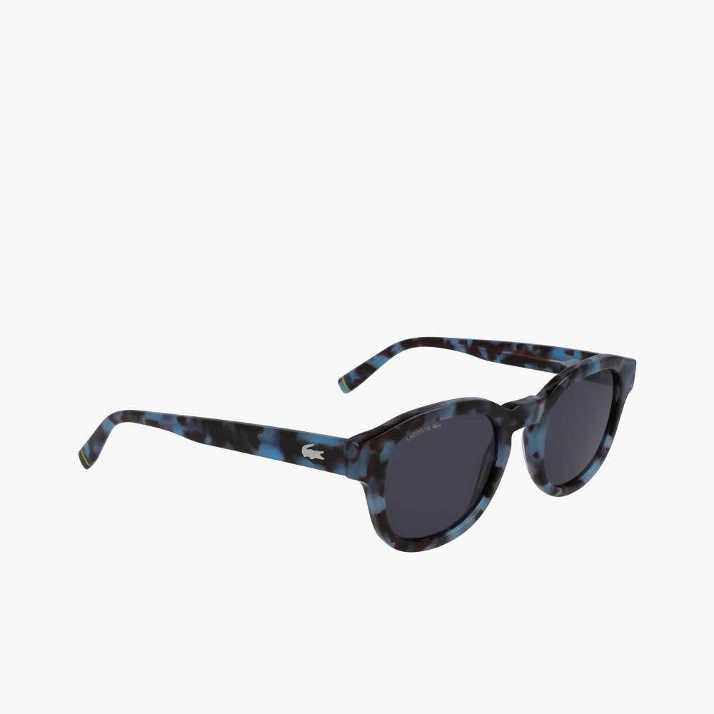 Havana/Bordeaux Lacoste Oval Bio Acetate National Geographic Sunglasses | PWVYKS-123