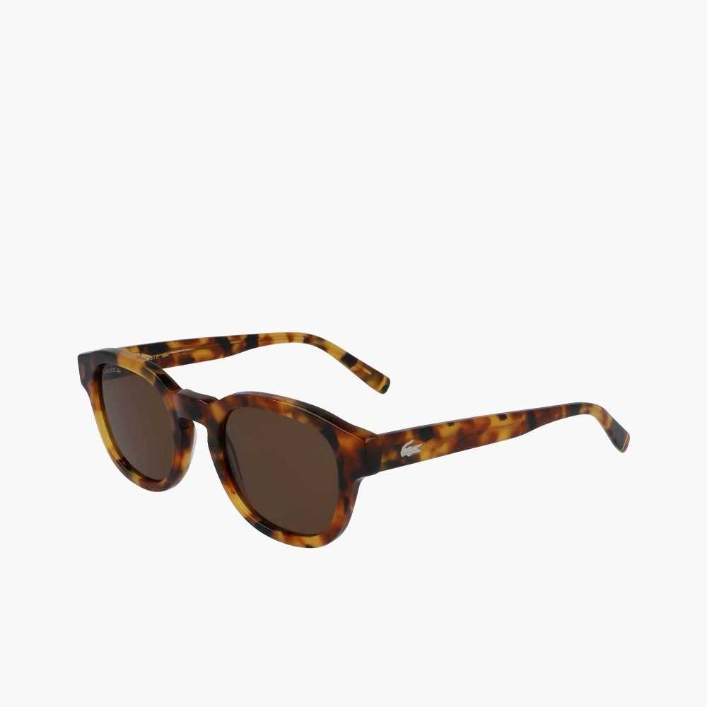 Havana Brn Lacoste Oval Bio Acetate National Geographic Sunglasses | MSVIJW-719