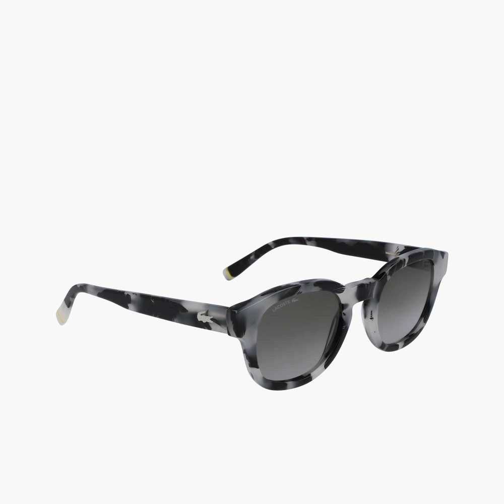 Havana Rose Lacoste Oval Bio Acetate National Geographic Sunglasses | PMRDQY-286