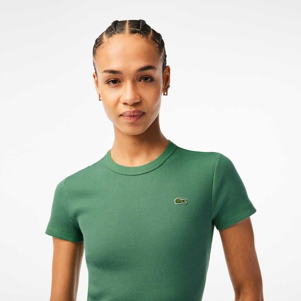 Khaki Green Lacoste Slim Fit Organic Cotton T-Shirt | IBATQC-018