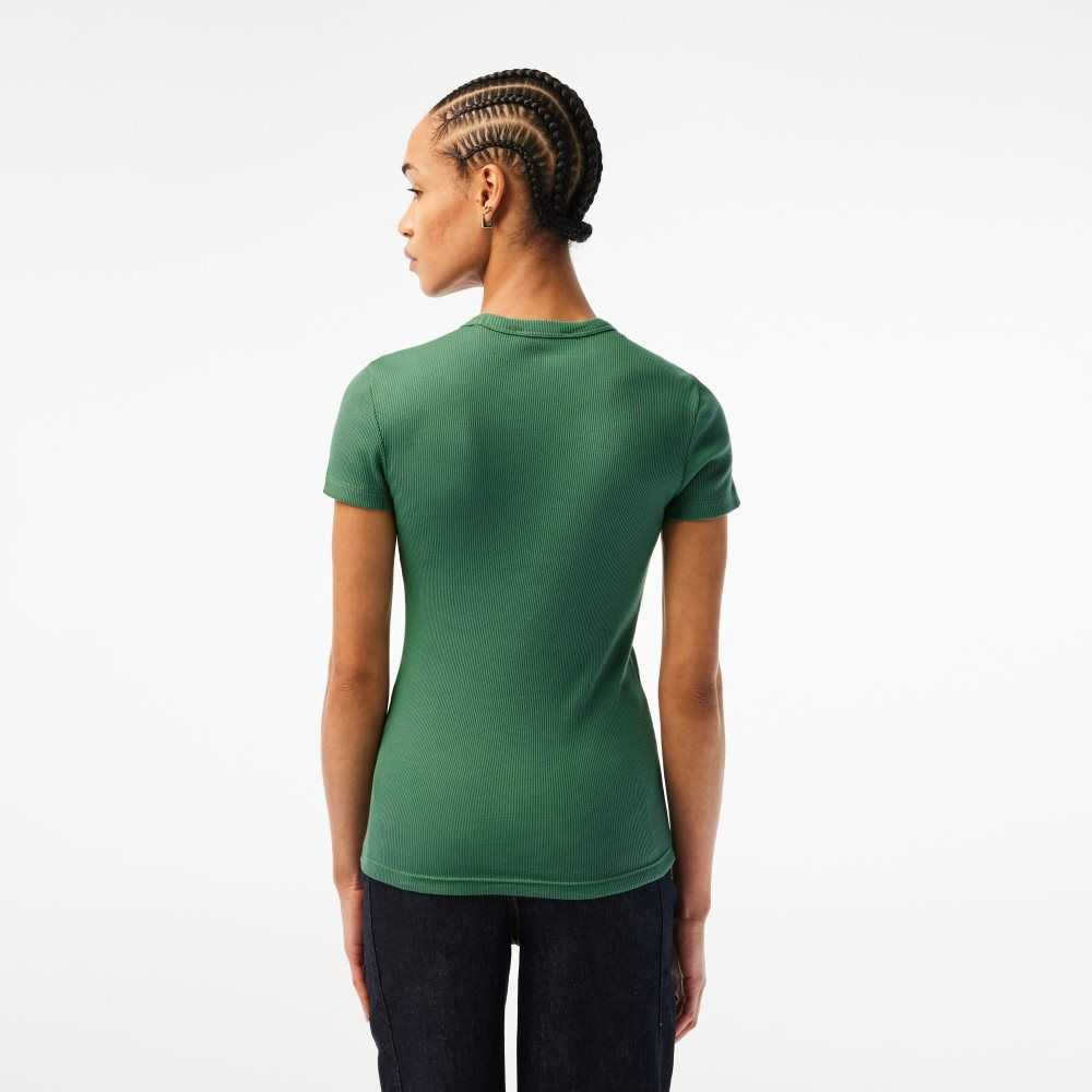 Khaki Green Lacoste Slim Fit Organic Cotton T-Shirt | IBATQC-018