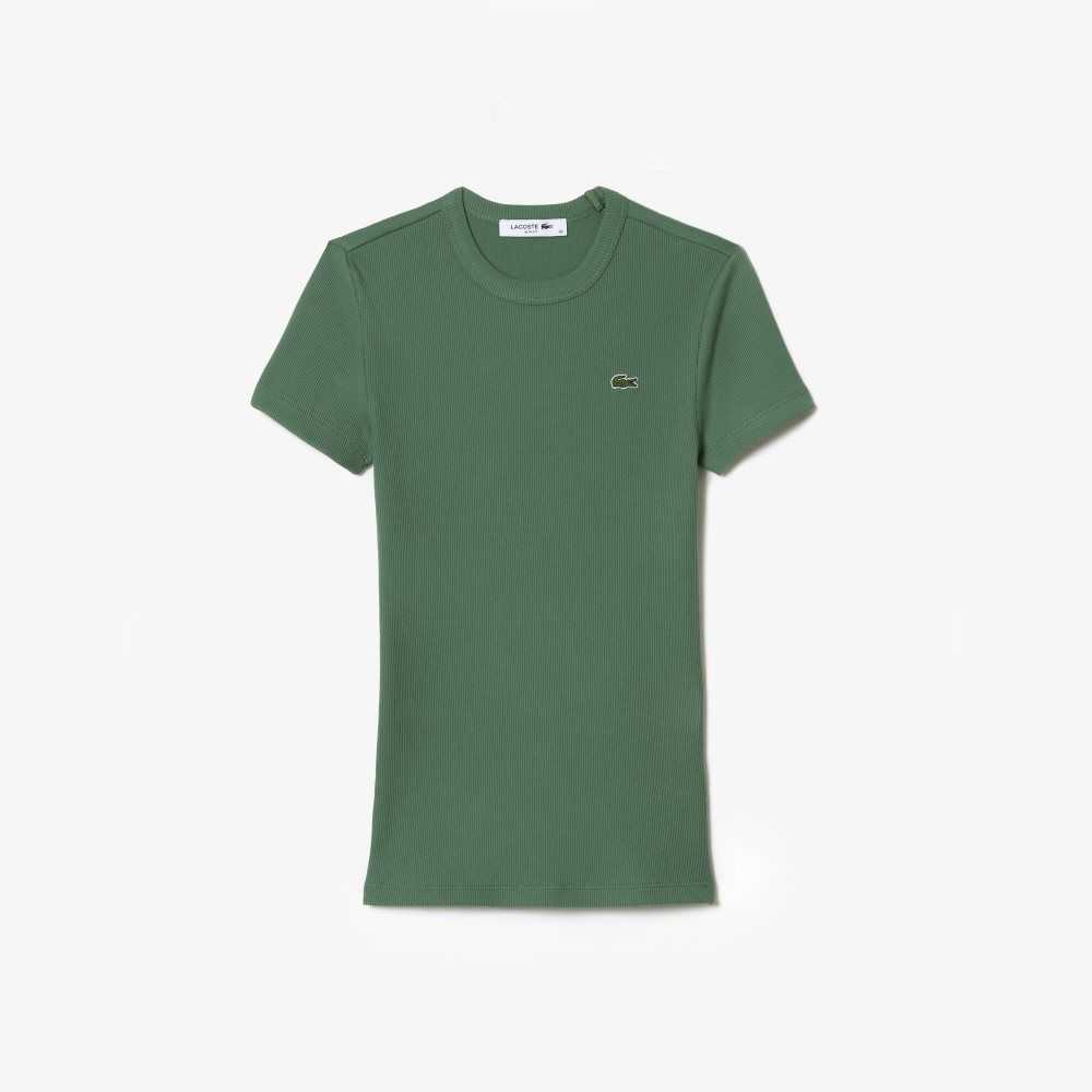 Khaki Green Lacoste Slim Fit Organic Cotton T-Shirt | IBATQC-018