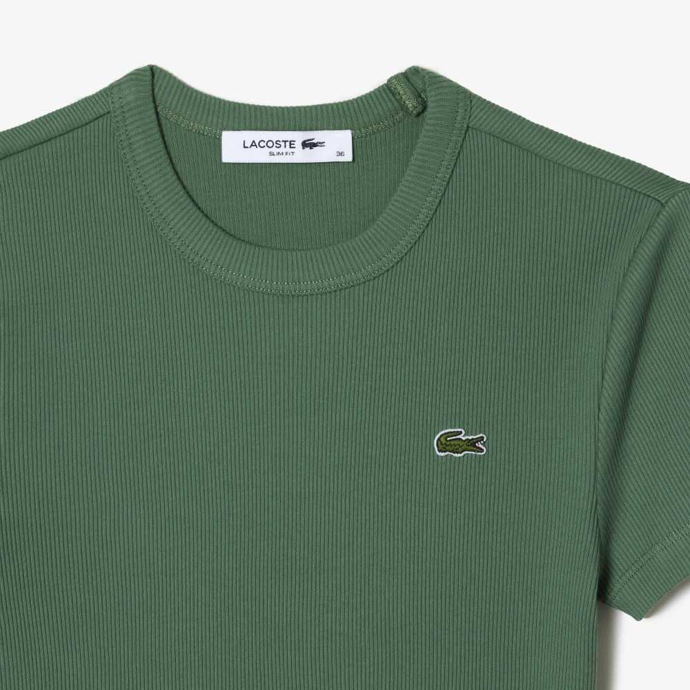 Khaki Green Lacoste Slim Fit Organic Cotton T-Shirt | IBATQC-018