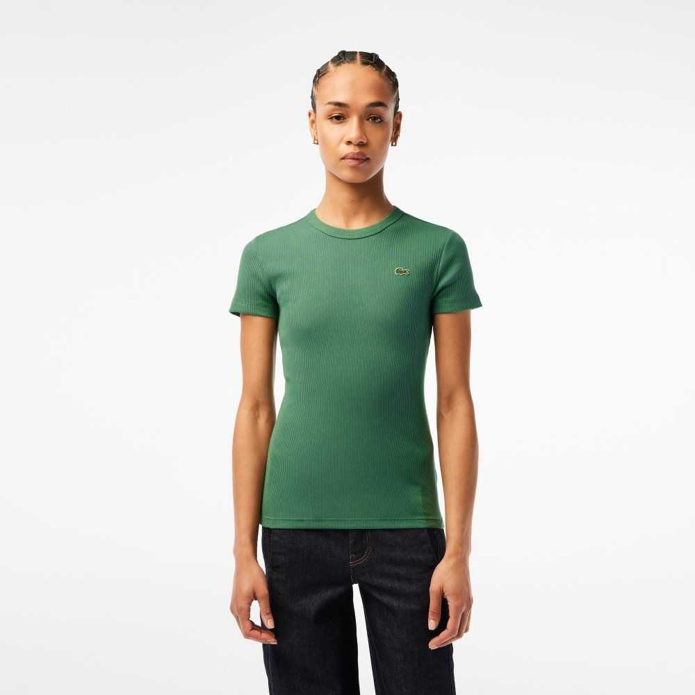 Khaki Green Lacoste Slim Fit Organic Cotton T-Shirt | IBATQC-018