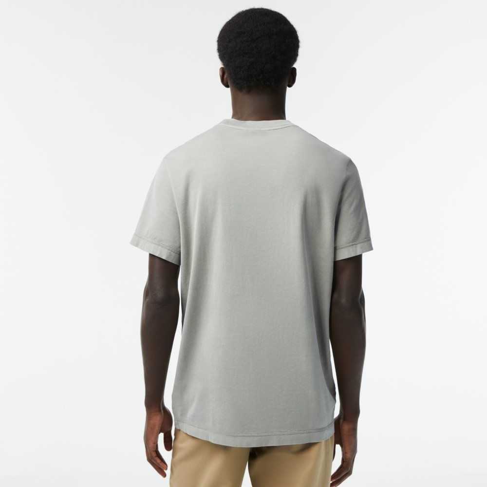 Light Green Lacoste Plain Organic Cotton T-Shirt | APFXRG-169