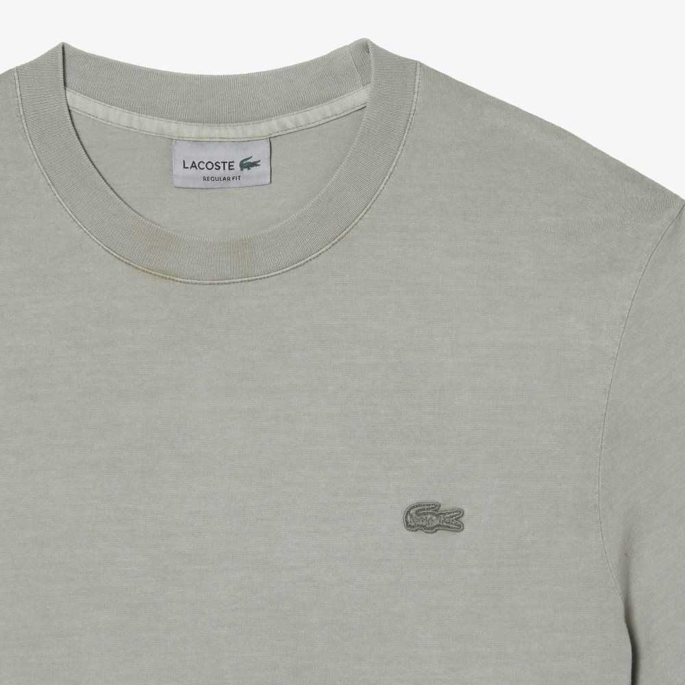 Light Green Lacoste Plain Organic Cotton T-Shirt | APFXRG-169