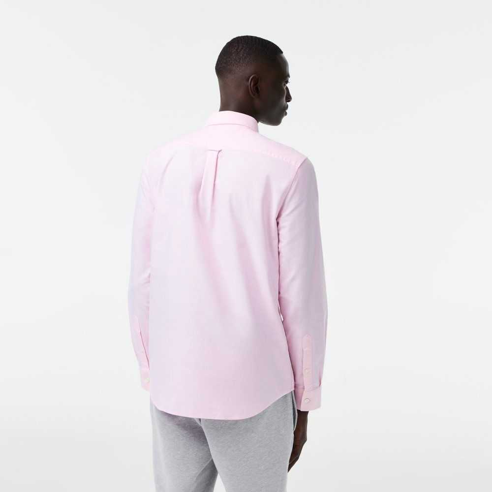 Light Pink Lacoste Regular Fit Oxford Cotton Shirt | XOJPZS-854