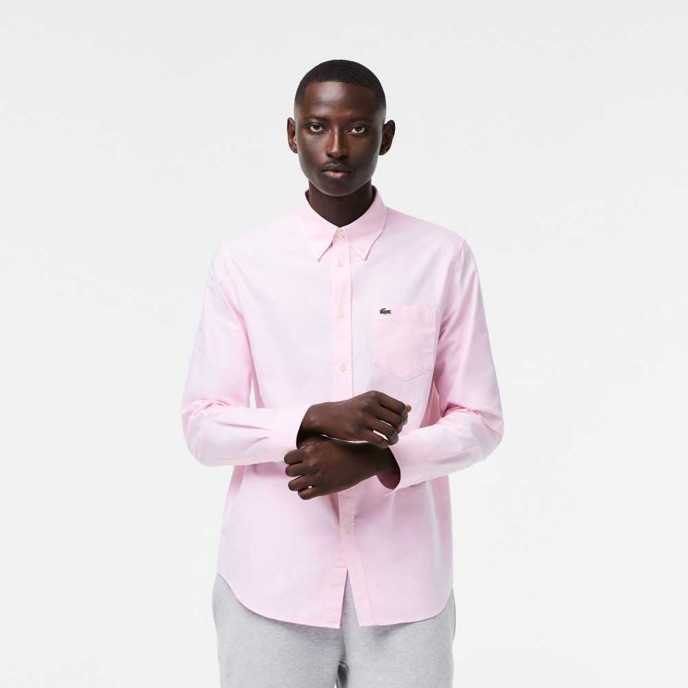 Light Pink Lacoste Regular Fit Oxford Cotton Shirt | XOJPZS-854