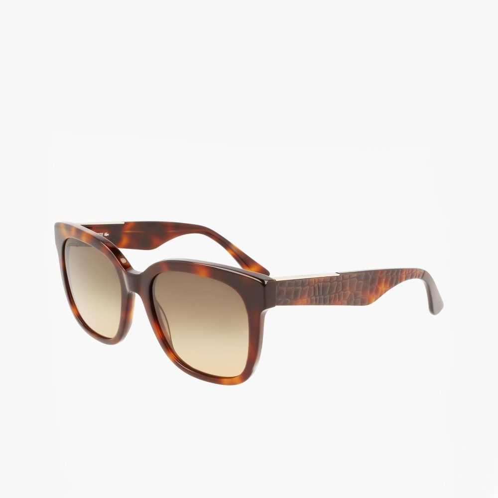 Matte Havana Lacoste Rectangle Acetate Croco Skin Sunglasses | ZFXTAC-501