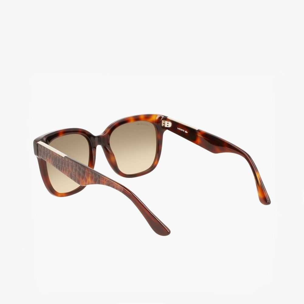 Matte Havana Lacoste Rectangle Acetate Croco Skin Sunglasses | ZFXTAC-501