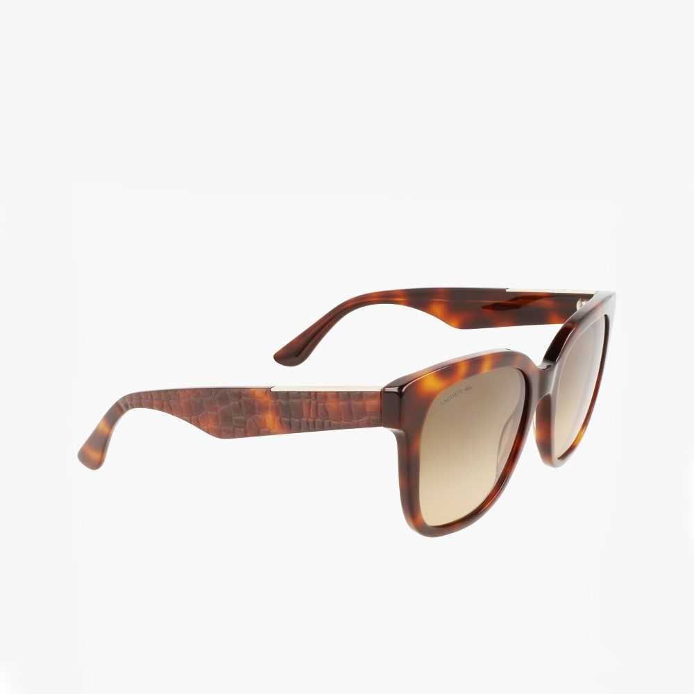 Matte Havana Lacoste Rectangle Acetate Croco Skin Sunglasses | ZFXTAC-501