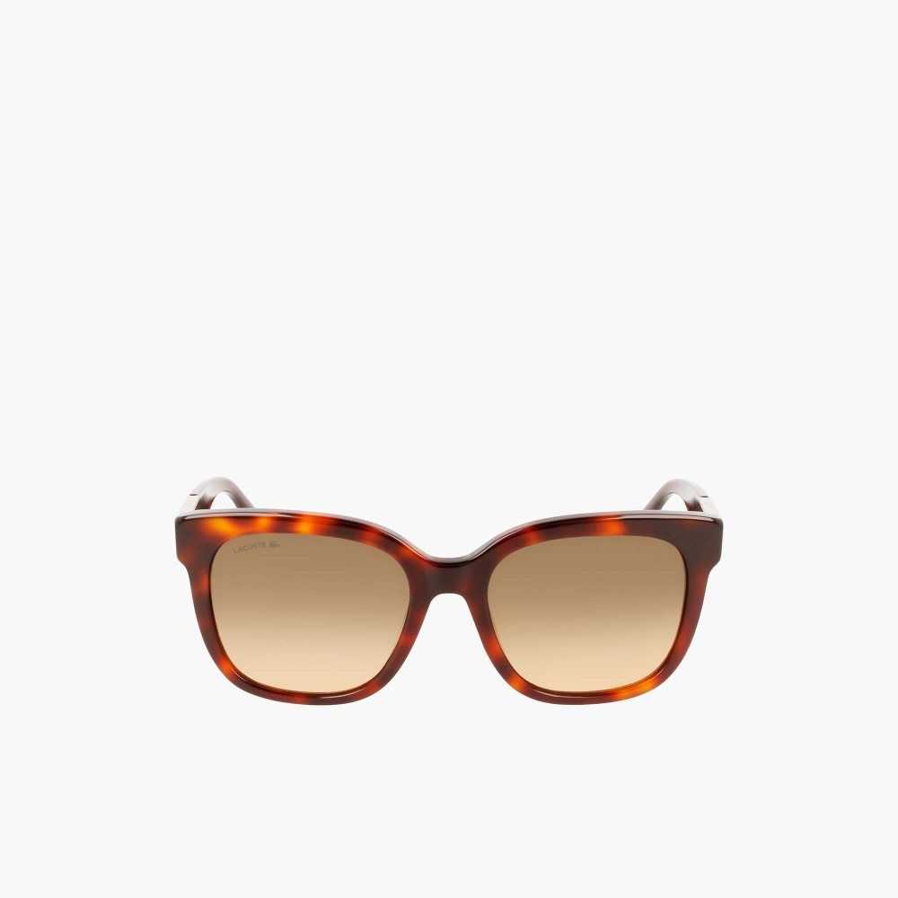 Matte Havana Lacoste Rectangle Acetate Croco Skin Sunglasses | ZFXTAC-501