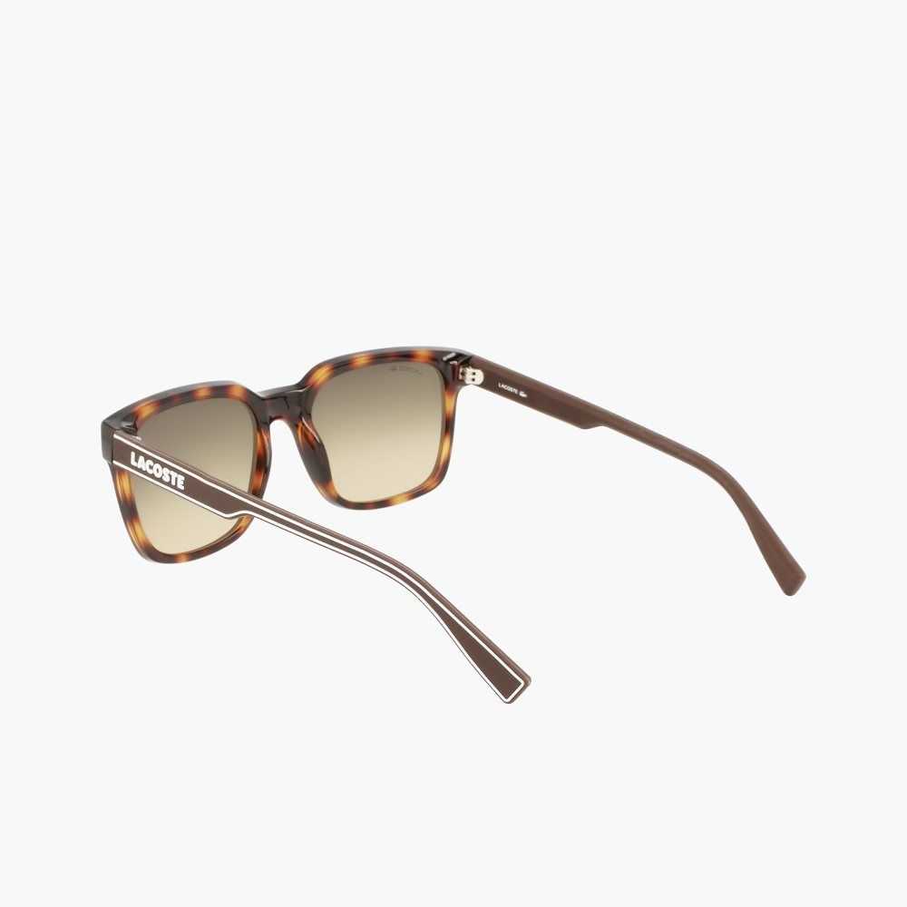 Matte Havana Lacoste Rectangle Active Line Sunglasses | WQPLZF-694