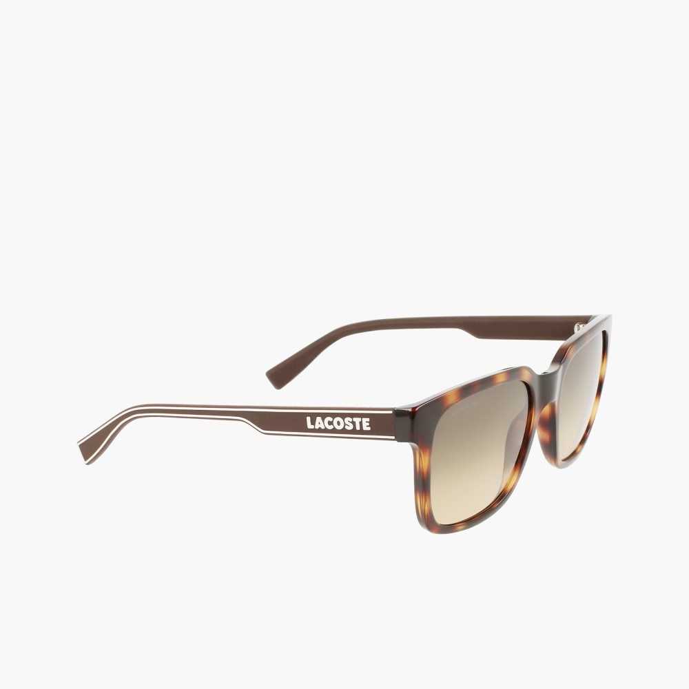 Matte Havana Lacoste Rectangle Active Line Sunglasses | WQPLZF-694