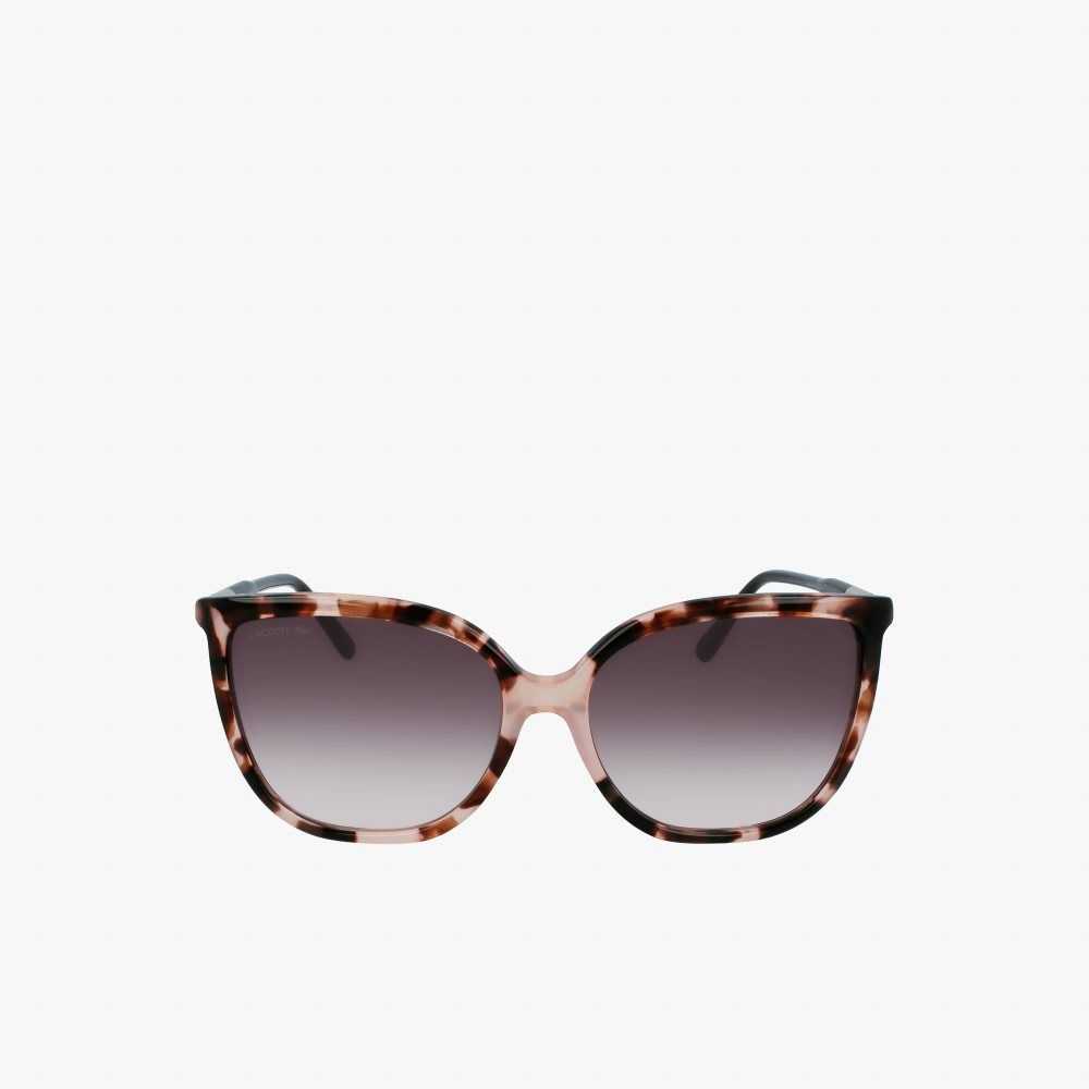 Matte Rose Lacoste Tubular Temple Butterfly Acetate Sunglasses | UKRYAC-481