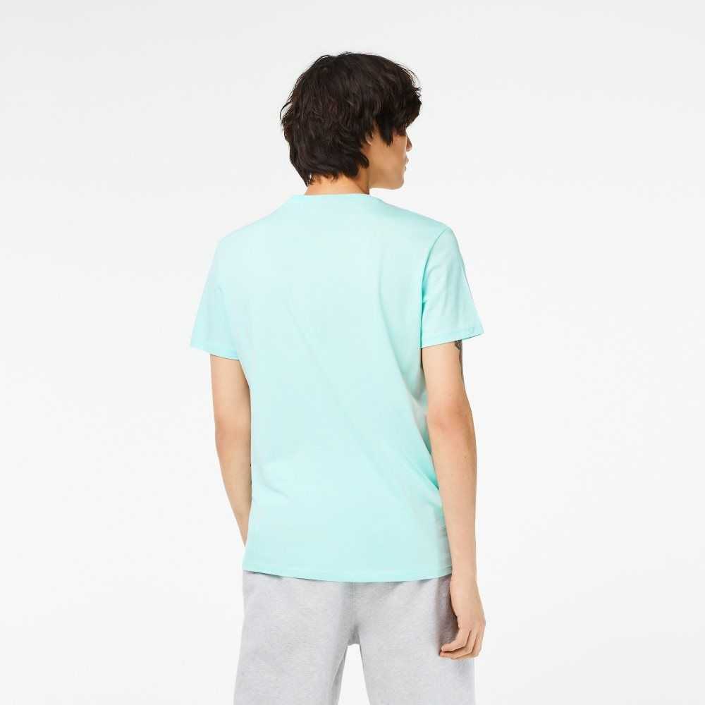 Mint Lacoste V-Neck Pima Cotton Jersey T-Shirt | FVIEHX-871