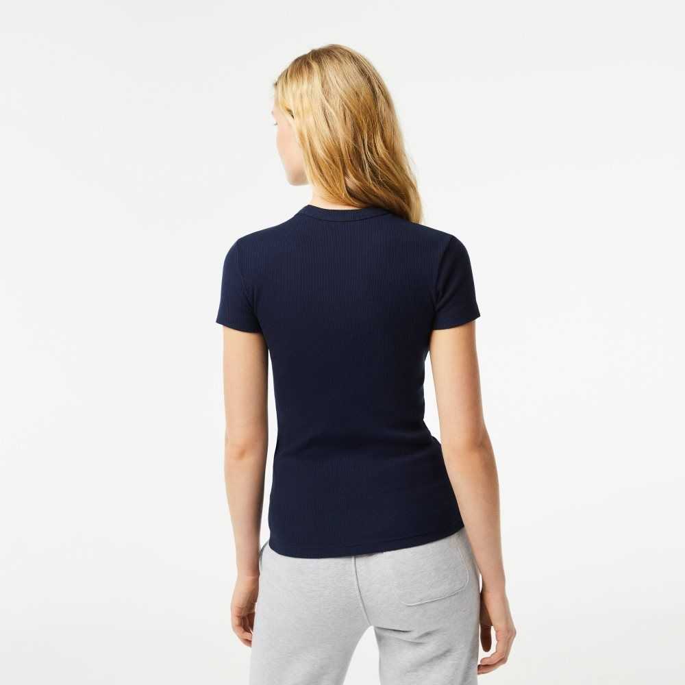 Navy Blue Lacoste Slim Fit Organic Cotton T-Shirt | JRSDBL-843