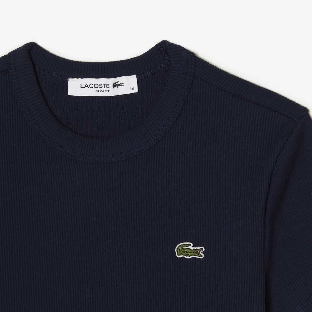 Navy Blue Lacoste Slim Fit Organic Cotton T-Shirt | JRSDBL-843