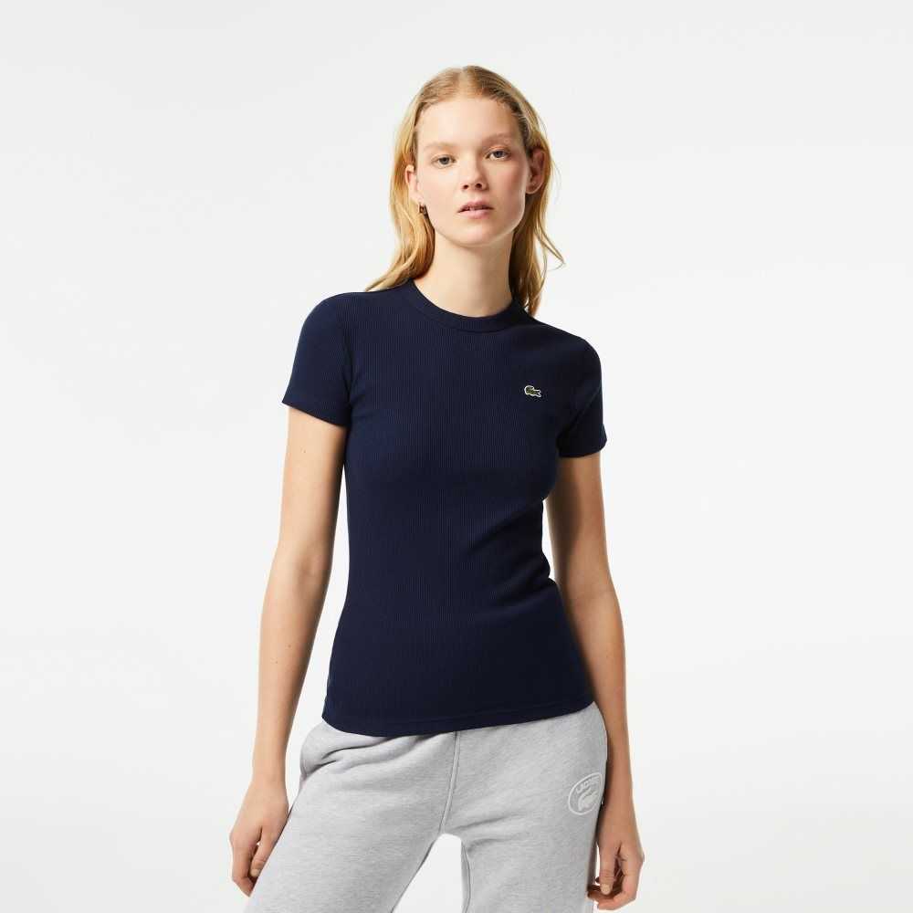 Navy Blue Lacoste Slim Fit Organic Cotton T-Shirt | JRSDBL-843