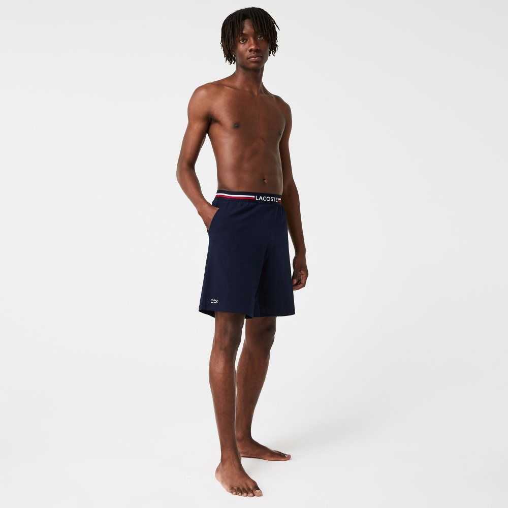 Navy Blue Lacoste Striped-Waist Long Boxer Briefs | BGJPSV-206