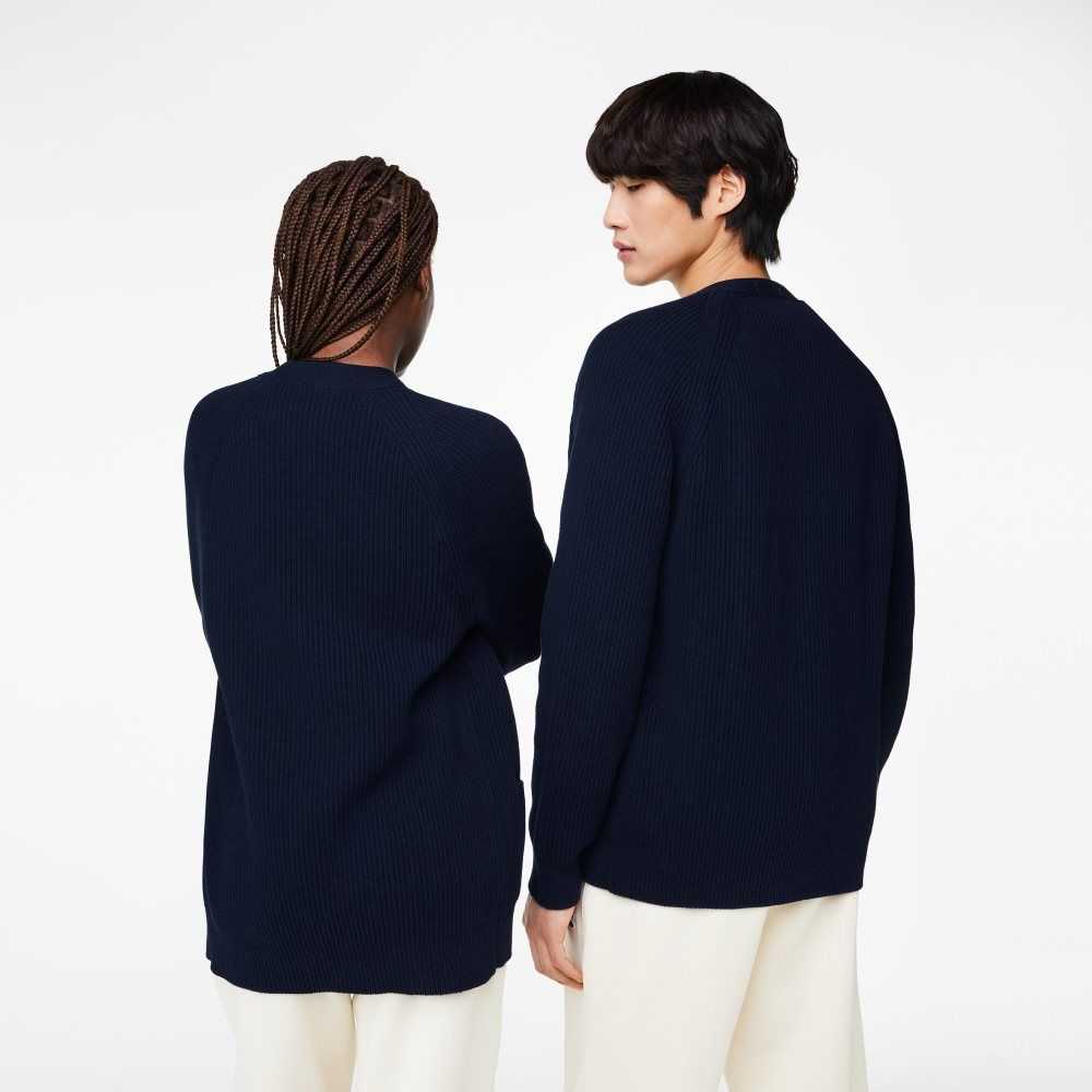 Navy Blue Lacoste V-Neck Organic Cotton Cardigan | LXISVM-316