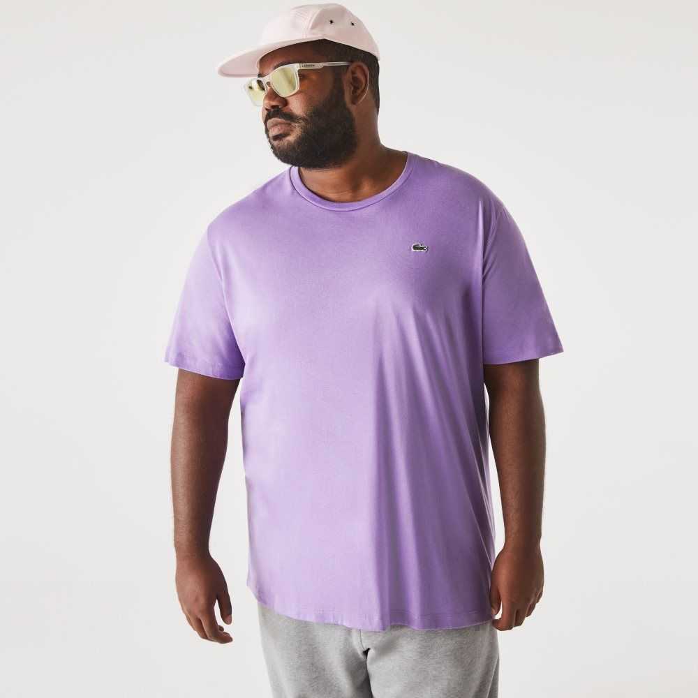 Purple Lacoste Big Fit Crew Neck Cotton Jersey T-Shirt | SLRUWK-852