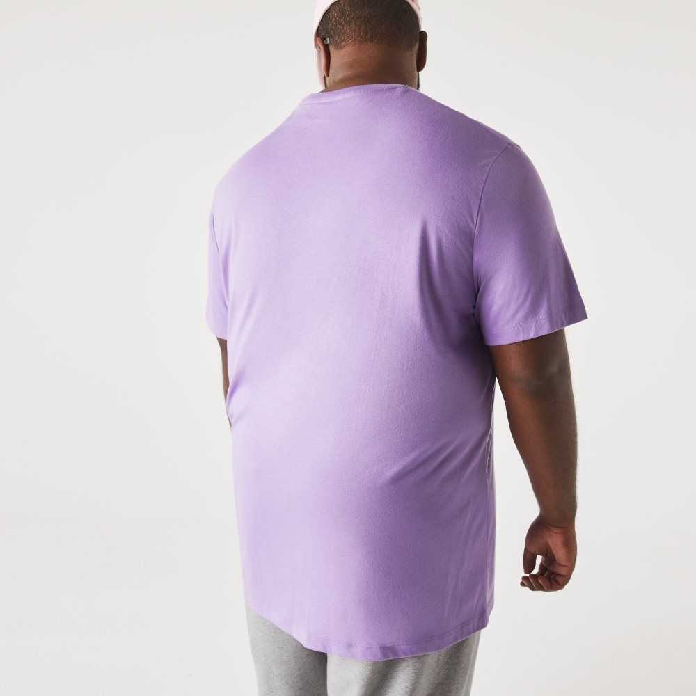 Purple Lacoste Big Fit Crew Neck Cotton Jersey T-Shirt | SLRUWK-852