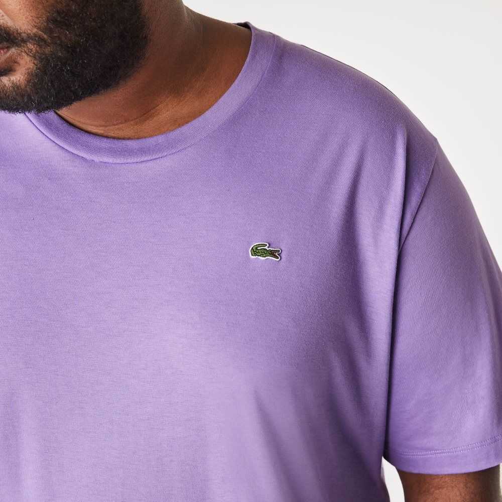 Purple Lacoste Tall Fit Pima Cotton Jersey T-Shirt | TNOCDE-397