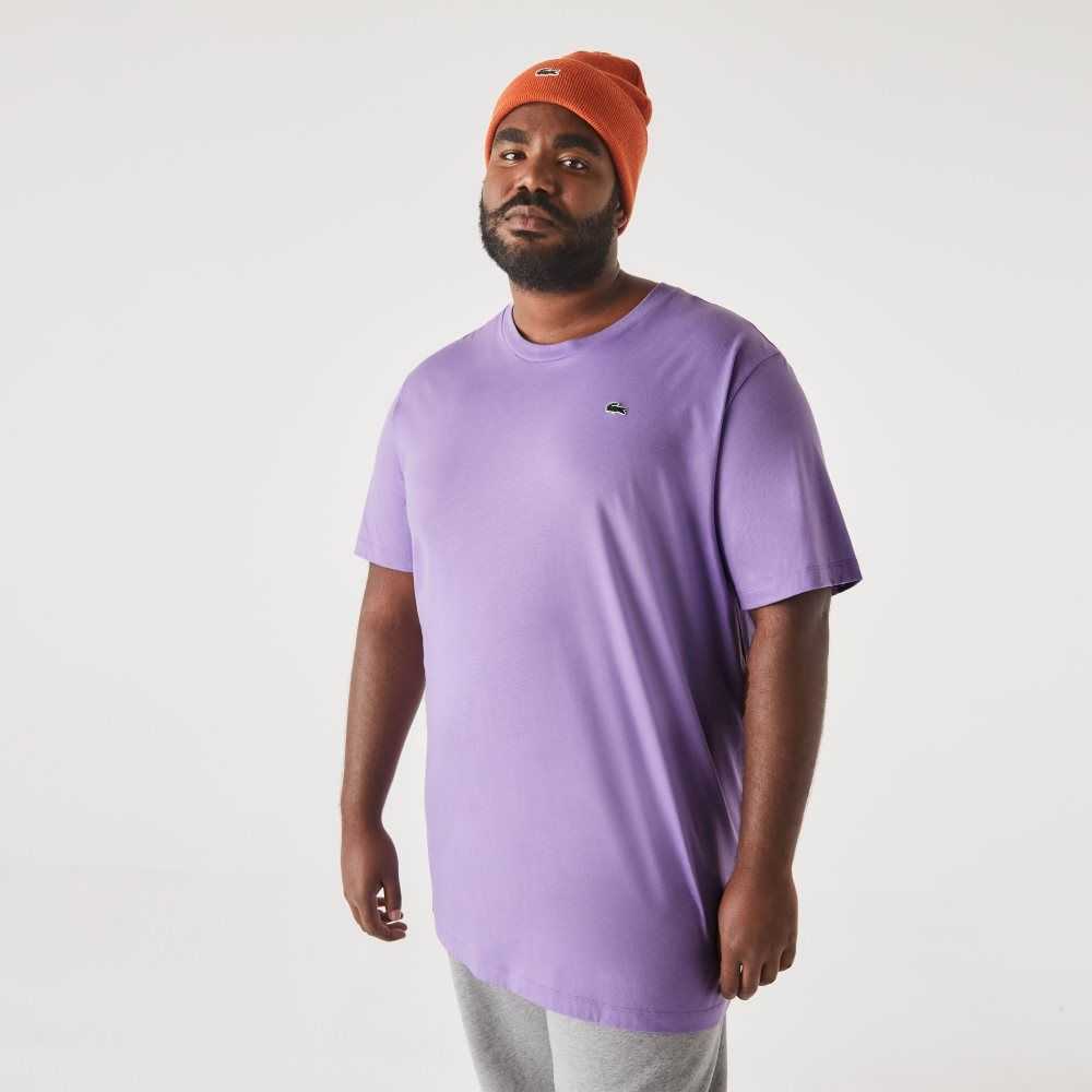 Purple Lacoste Tall Fit Pima Cotton Jersey T-Shirt | TNOCDE-397