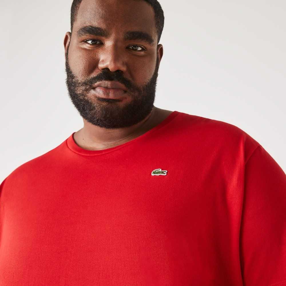 Red Lacoste Big Fit Crew Neck Cotton Jersey T-Shirt | INLFEJ-026