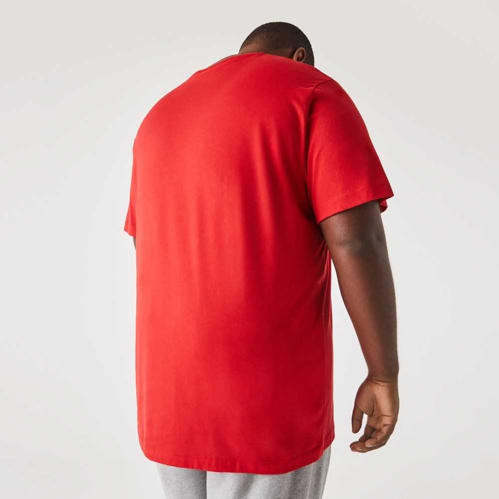 Red Lacoste Big Fit Crew Neck Cotton Jersey T-Shirt | INLFEJ-026