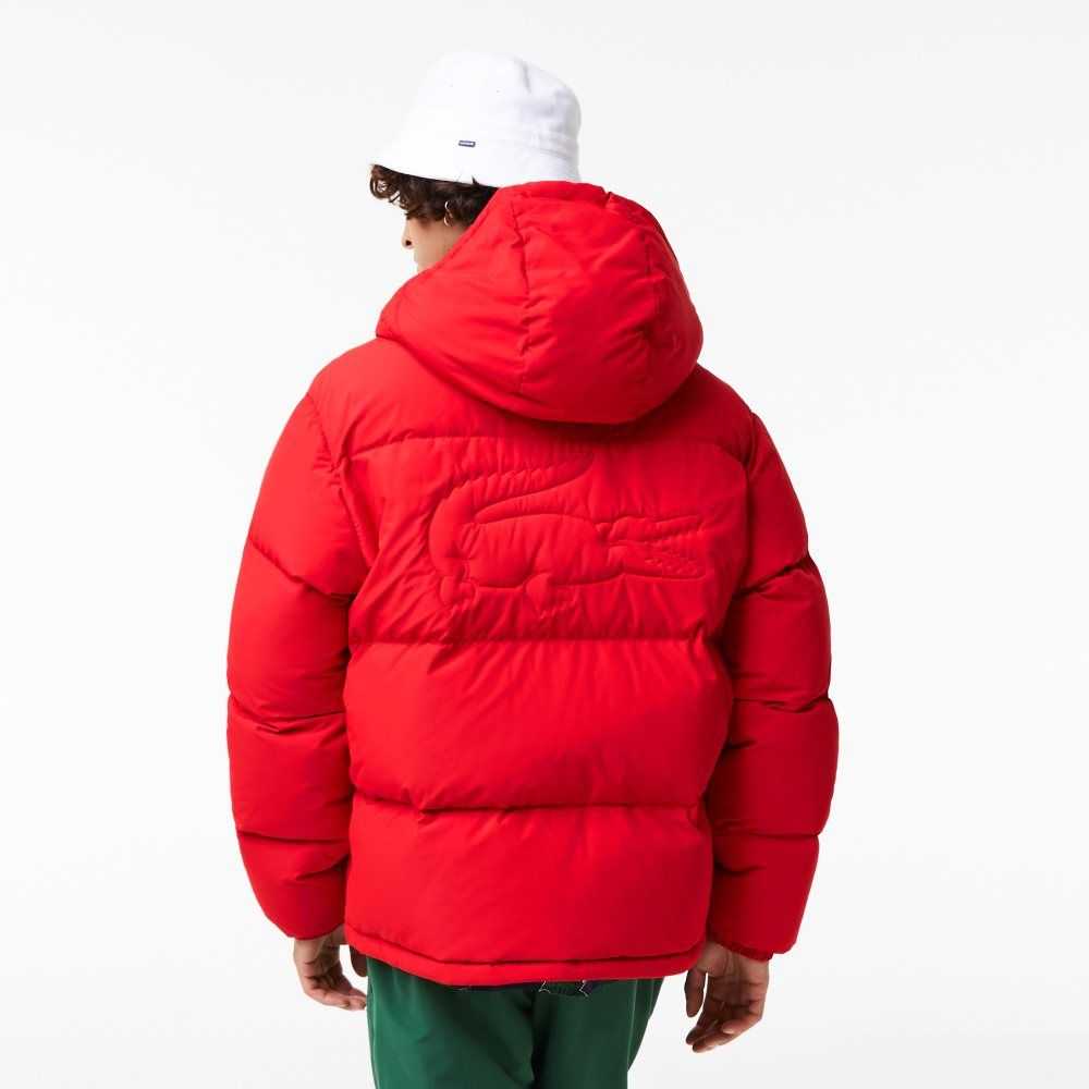 Red Lacoste Quilted Water-Repellent Jacket | MKCRFZ-908