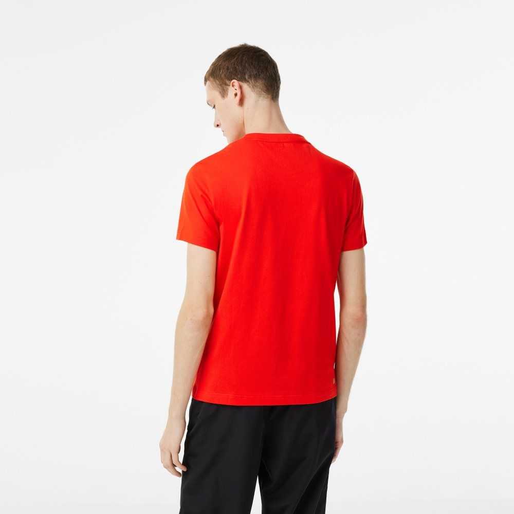 Red Lacoste SPORT Regular Fit T-Shirt with Contrast Branding | HYZSPQ-153