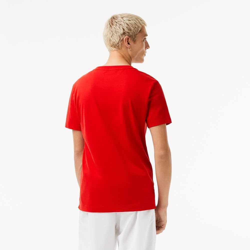 Red Lacoste SPORT x Novak Djokovic Printed T-Shirt | OITMFK-495