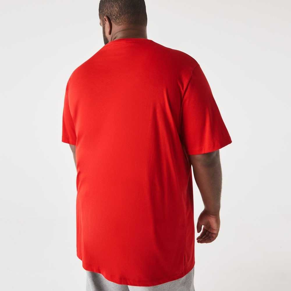 Red Lacoste Tall Fit Pima Cotton Jersey T-Shirt | NBVOHQ-872