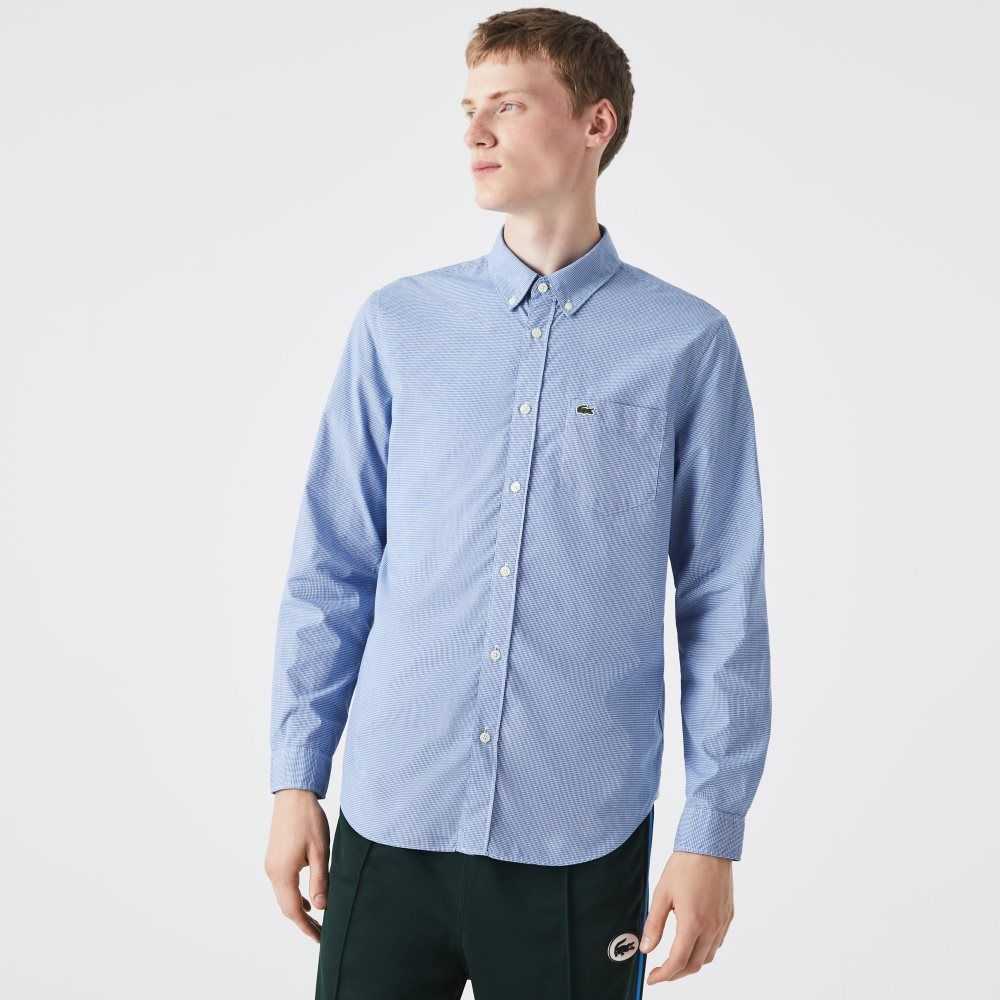 White / Blue Lacoste Regular Fit Cotton Poplin Shirt | CTDHPV-682