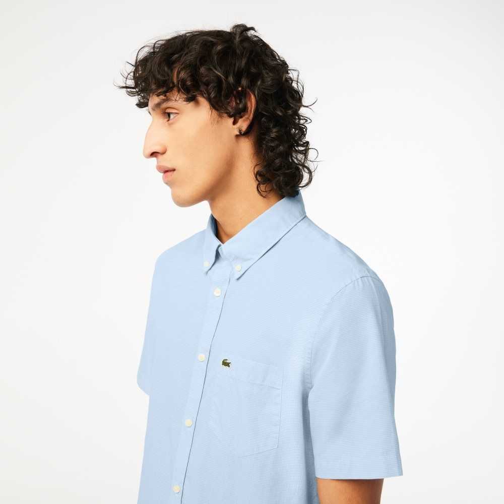 White / Blue Lacoste Regular Fit Gingham Check Shirt | SCFUAJ-395