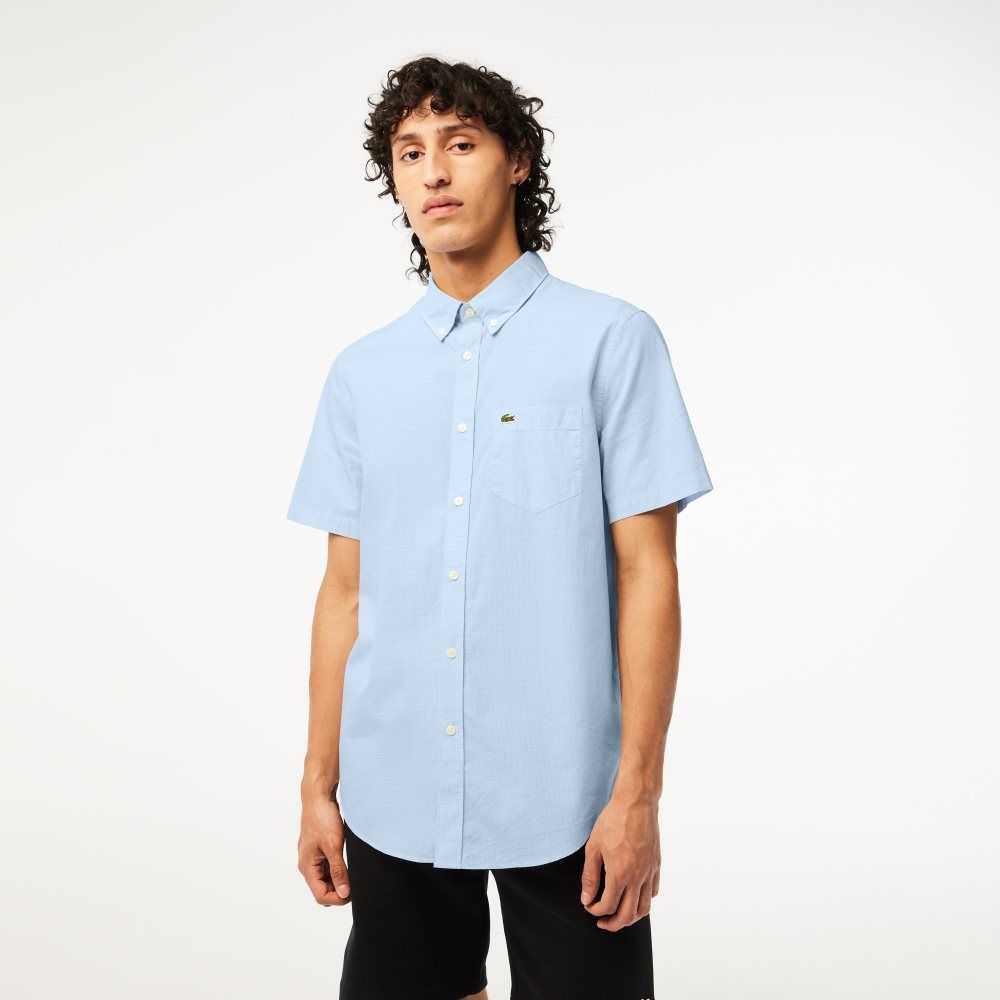 White / Blue Lacoste Regular Fit Gingham Check Shirt | SCFUAJ-395