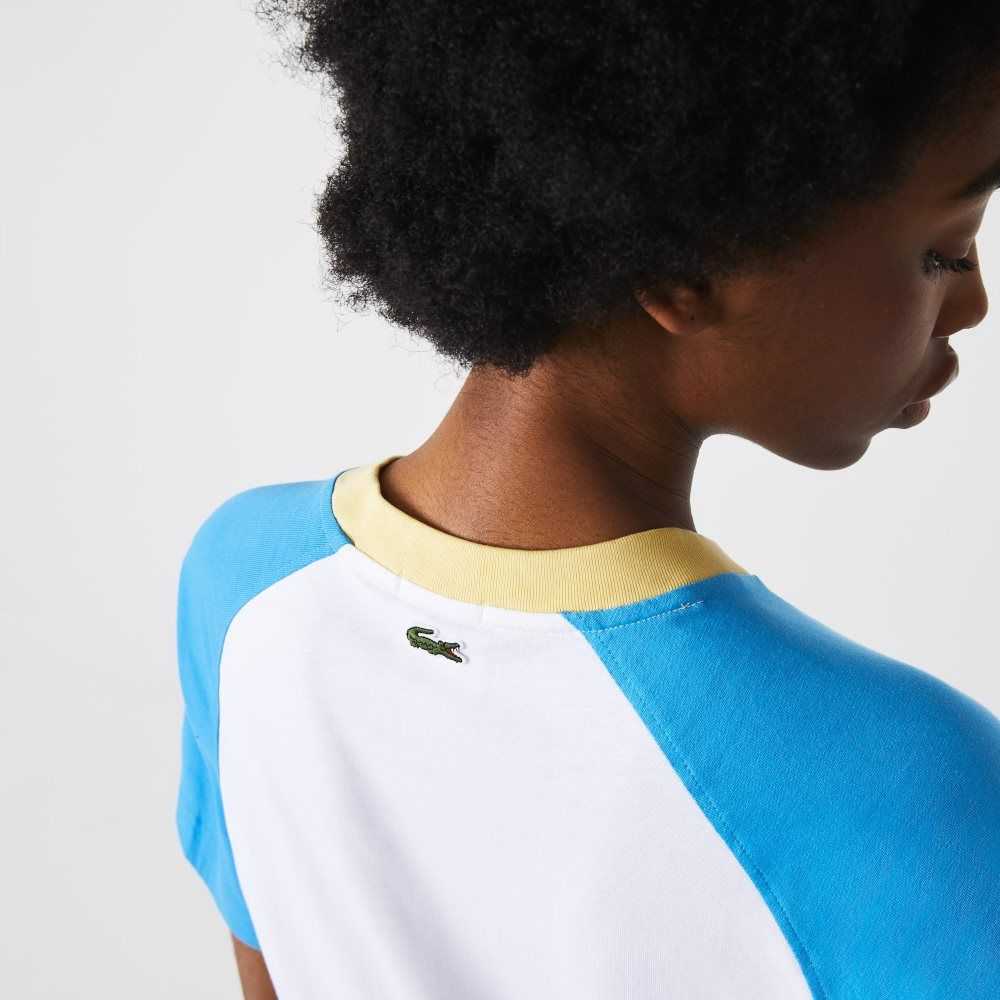 White / Blue / Yellow Lacoste LIVE Cotton T-shirt | KIXQZE-034