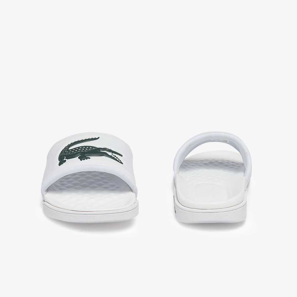 White/Dark Green Lacoste Croco Dualiste Logo Strap Slides | PEORJL-451