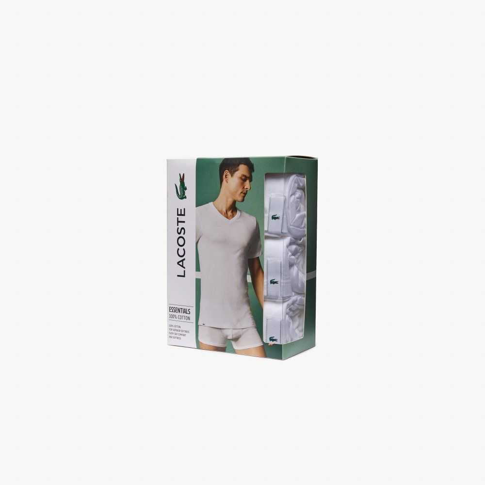 White Lacoste 3-Pack of Plain T-Shirts | USXFYI-431